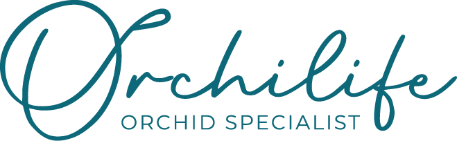 Logo Orchilife